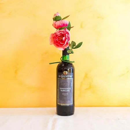 Aparthotel San Domenico 3*