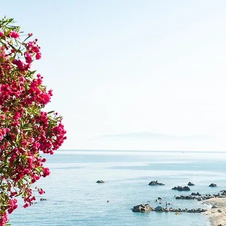 San Domenico Aparthotel 3*