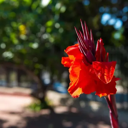 Aparthotel San Domenico