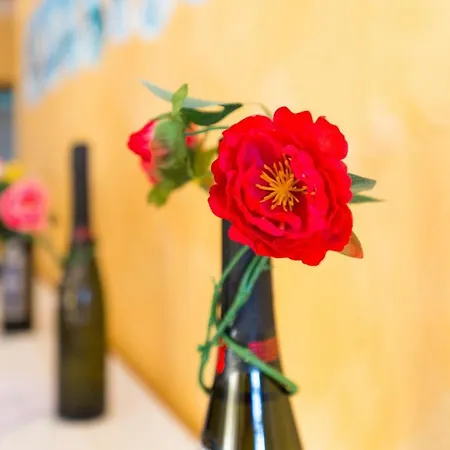 San Domenico 아파트호텔 파르겔리아