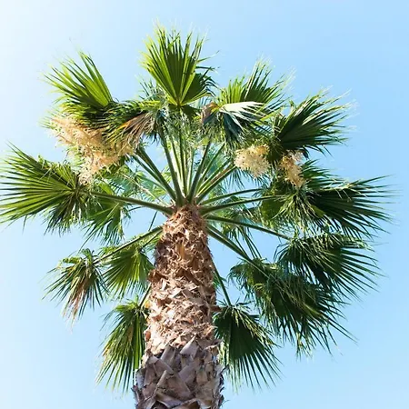 San Domenico 아파트호텔 파르겔리아