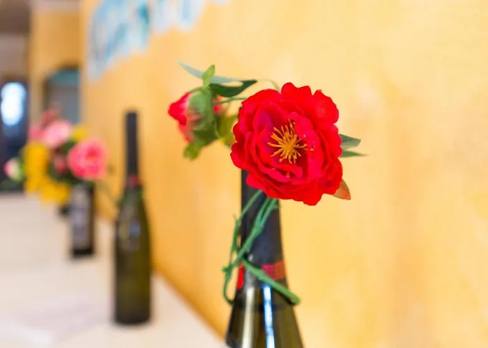 San Domenico Aparthotel Parghelia