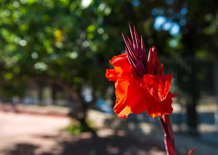 Aparthotel San Domenico